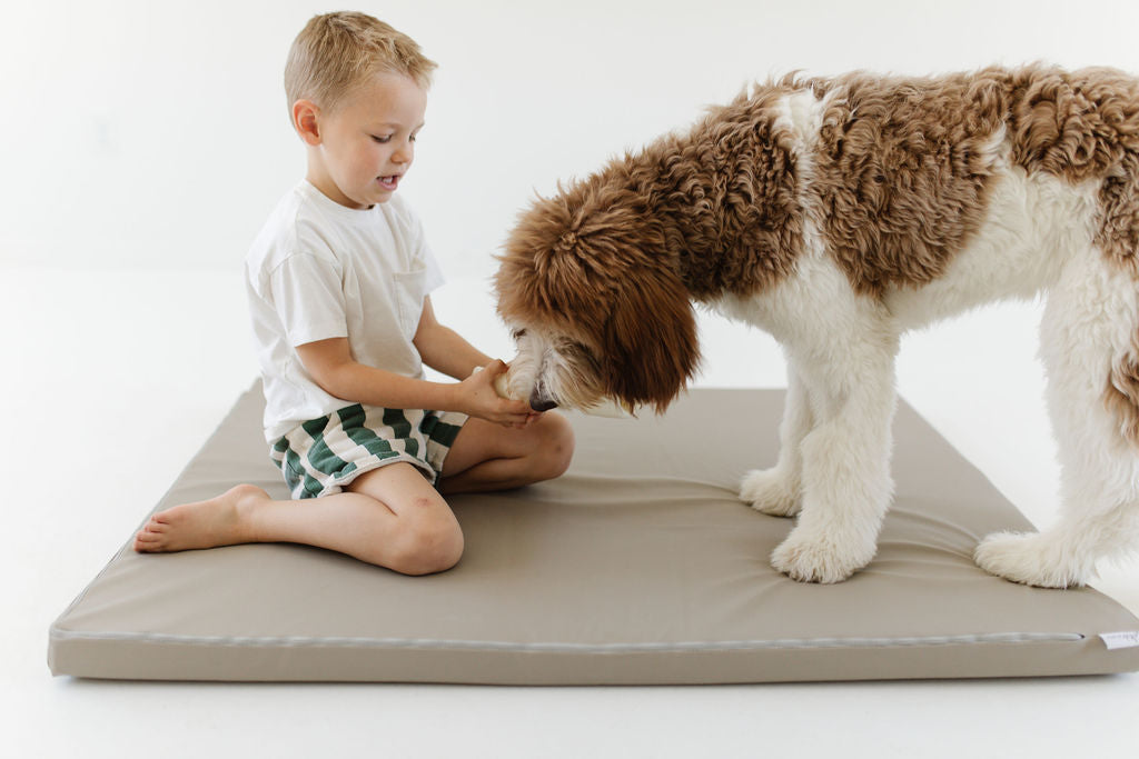 child playing with a dog on a toki dog bed