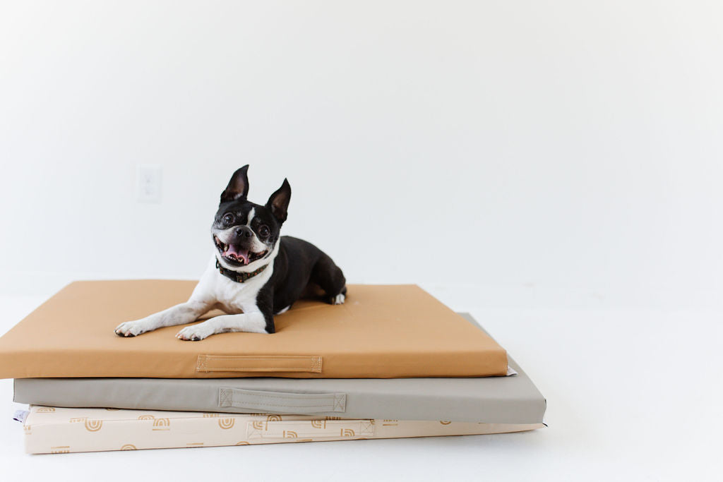 a dog laying on stacked toki mats dog beds