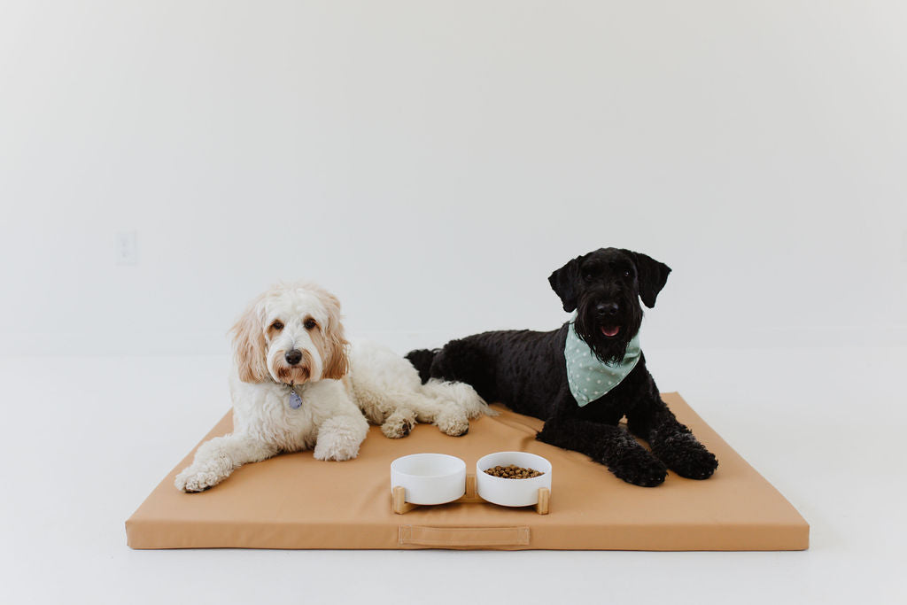 two large dogs laying on a toki mats dog bed