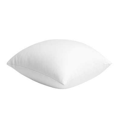 Bean Bag Insert